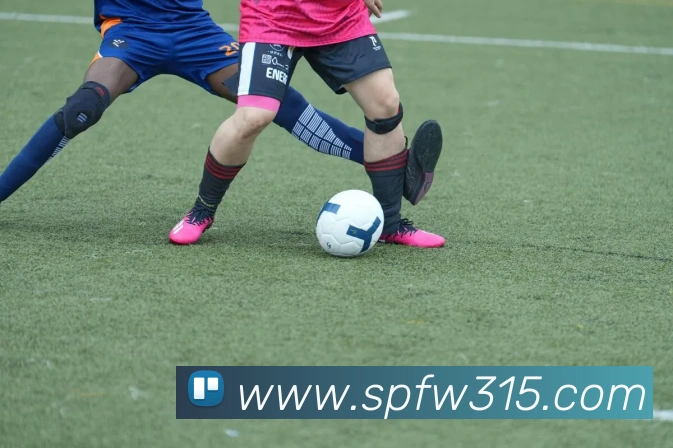 pg娱乐电子游戏平台官方版服务体系